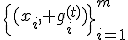 \{(x_i, g_i^{(t)})\}_{i=1}^m