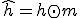 \hat{h} = h \odot m