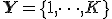 \mathbf{Y} = \{1, \dots, K\}