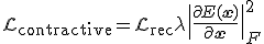 \mathcal{L}_{\text{contractive}} = \mathcal{L}_{\text{rec}} + \lambda \| \frac{\partial E(\mathbf{x})}{\partial \mathbf{x}} \|_F^2