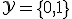 \mathcal{Y} = \{0, 1\}