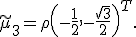 \widetilde\mu_3=\rho\left(-\frac{1}{2},-\frac{\sqrt{3}}{2}\right)^T.