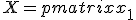 X = \begin{pmatrix}x_1&x_2&\ldots&x_{k}\\x_2&x_3&\ldots&x_{k+1}\\ \vdots&\vdots&\ddots&\vdots\\x_{l}&x_{l+1}&\ldots&x_n \end{pmatrix}.