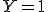 Y=1