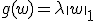 g(w) = \lambda \|w\|_1