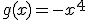 g(x)=-x^4