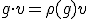g \cdot v = \rho(g)v