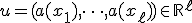 u = (a(x_1),\dots,a(x_\ell)) \in \mathbb{R}^{\ell}