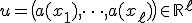 u = \big( a(x_1), \dots, a(x_\ell) \big) \in \mathbb{R}^{\ell}