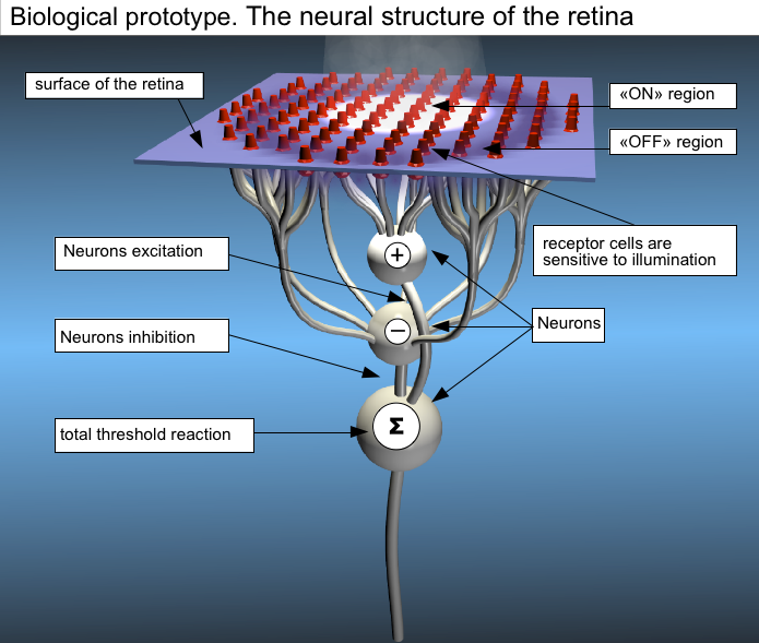 Изображение:1 OCR biological prototype.png